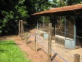 /album/galeria-de-fotos-recanto-de-ala-linda-ref-2011ch02/img-1157-jpg/