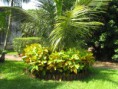/album/galeria-de-fotos-recanto-de-ala-linda-ref-2011ch02/img-1158-jpg/